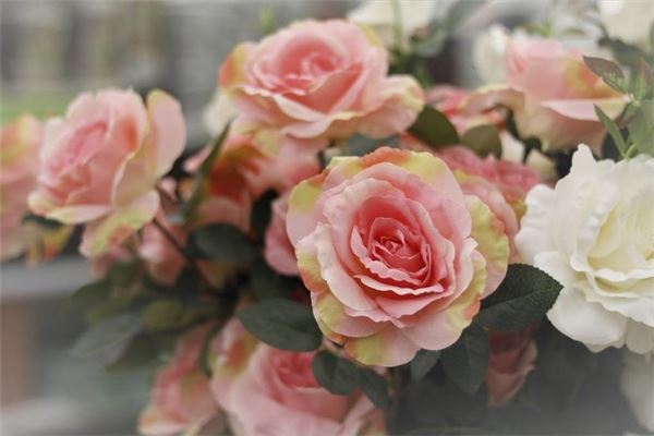 梦见假花是什么意思