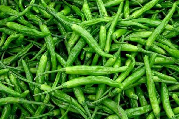 梦见孕妇青辣椒是什么意思