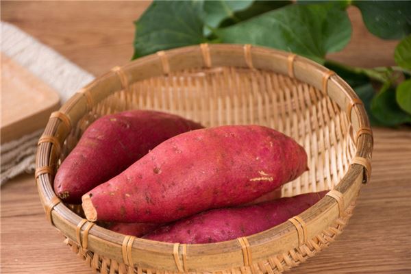 红薯