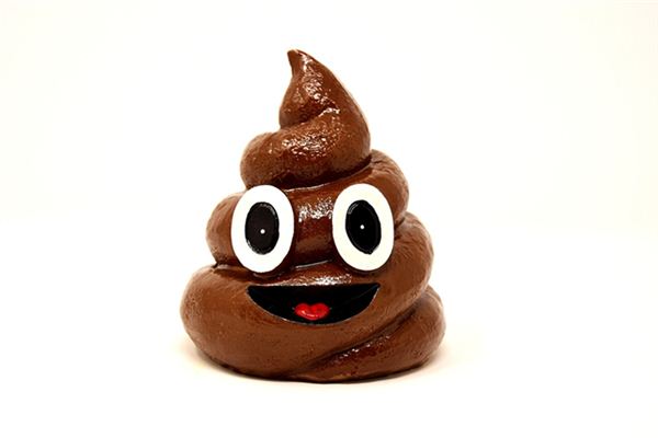 梦见屎是什么意思