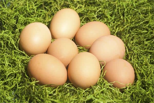 梦见好多鸡蛋是什么意思