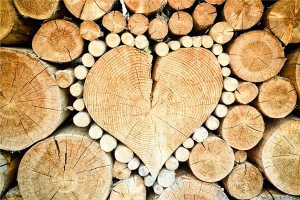 梦见柴堆啊是什么意思