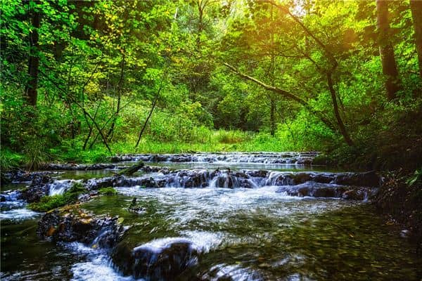 梦见已婚女人过河是什么意思