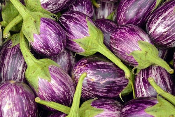 梦见孕妇摘茄子是什么意思