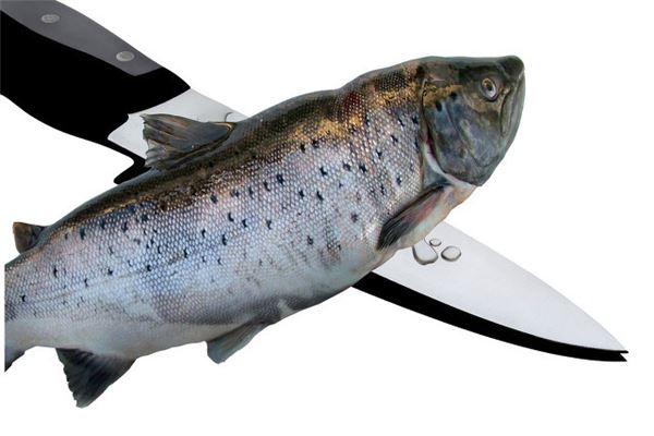 梦见自己在剖鱼是什么意思