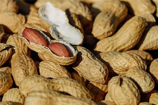 梦见种花生是什么意思