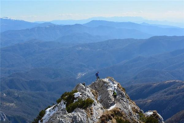 梦见上升上树上山上飞机是什么意思