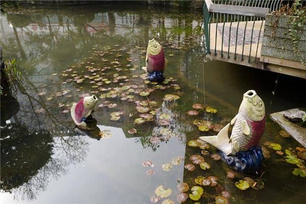 梦见自己捉到三条鱼是什么意思