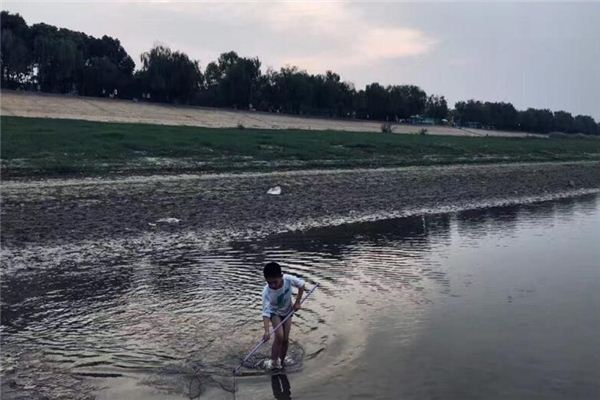 梦见男捞鱼是什么意思