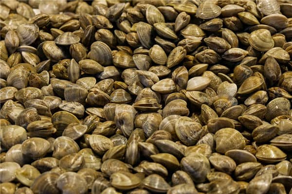 梦见捡海鲜是什么意思