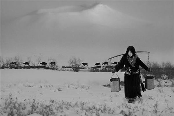 梦见挑水是什么意思