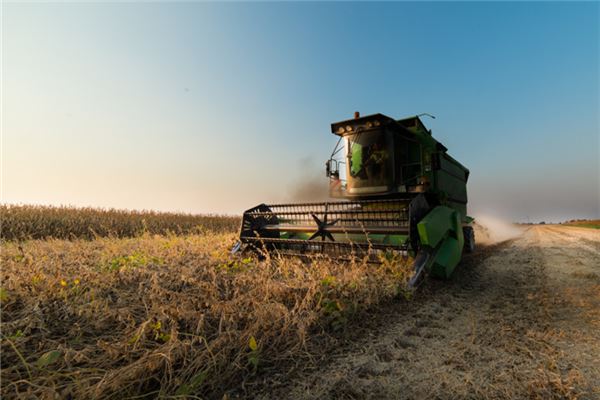 梦见收稻谷是什么意思