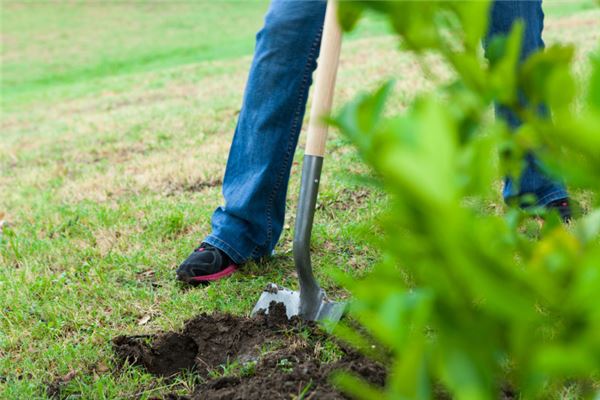 梦见挖地是什么意思