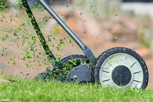 梦见割草是什么意思