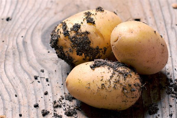 梦见种土豆是什么意思