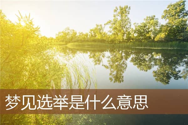 梦见选举是什么意思