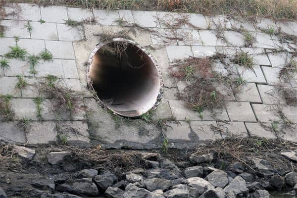 梦见下水道往上反水是什么意思