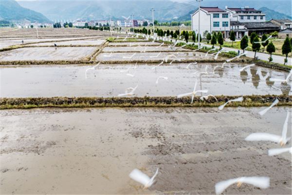 梦见耕田是什么意思