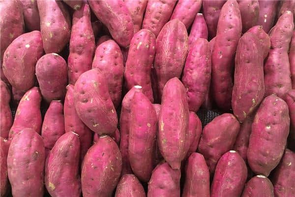 梦见种红薯是什么意思