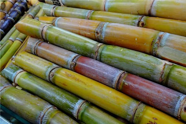 梦见卖甘蔗是什么意思