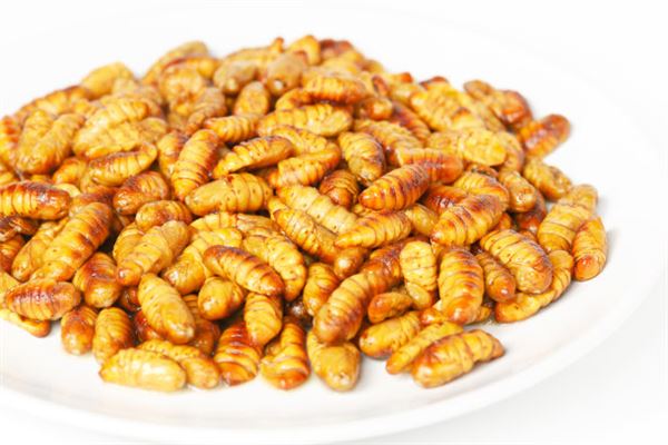 梦见吃虫子是什么意思