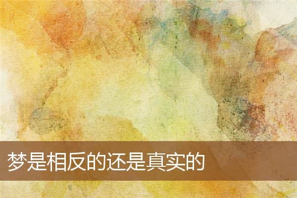 梦见梦是相反的还是真实的是什么意思