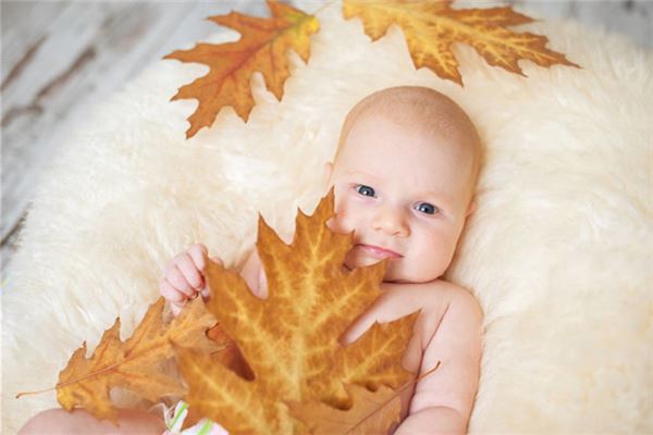 梦见好朋友生一个儿子是什么意思