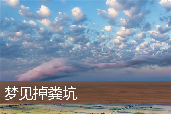 梦见掉粪坑是什么意思