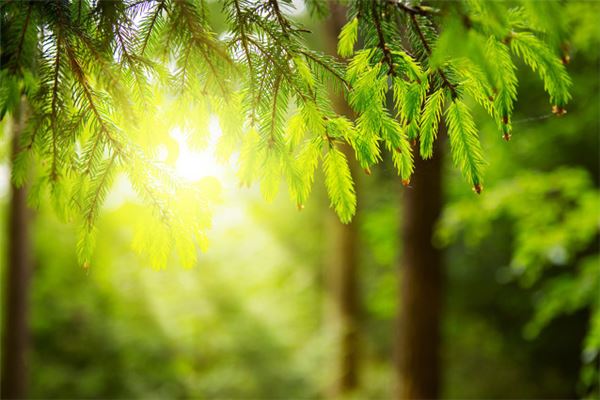 梦见温暖是什么意思