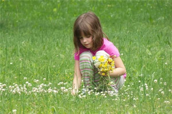 梦见采花是什么意思