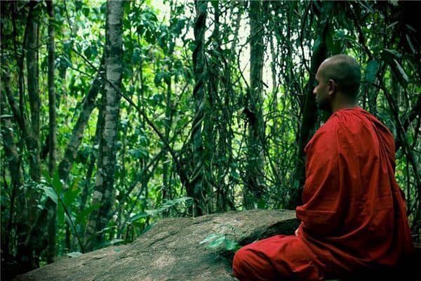 梦见与尼姑和尚做爱是什么意思