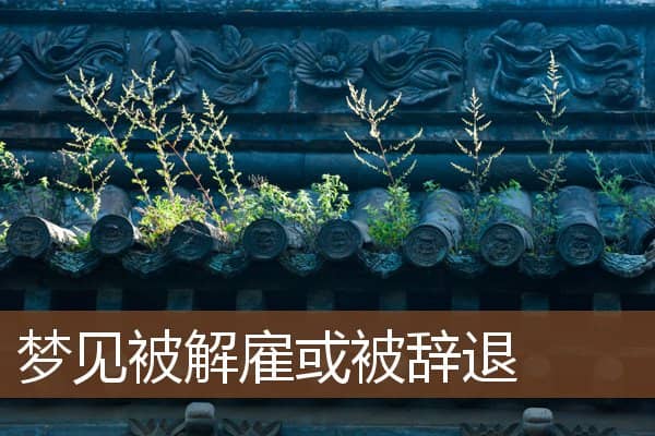 梦见被解雇或被辞退是什么意思