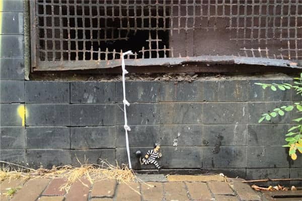 梦见越狱是什么意思