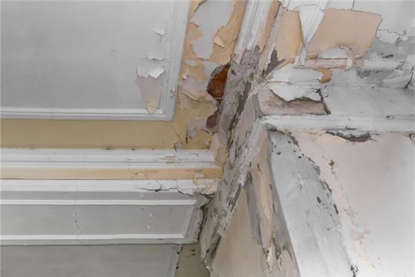 梦见家里漏雨了是什么意思