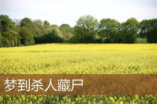 梦见杀人藏尸是什么意思