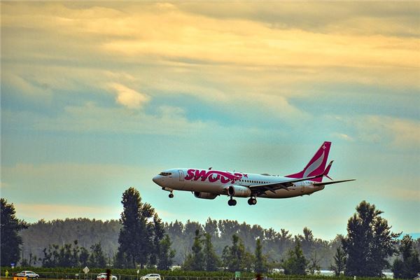 梦见女人飞机降落是什么意思