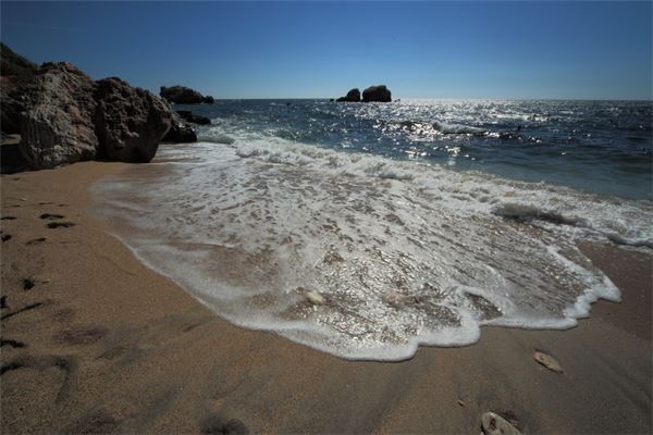 梦见掉海里是什么意思