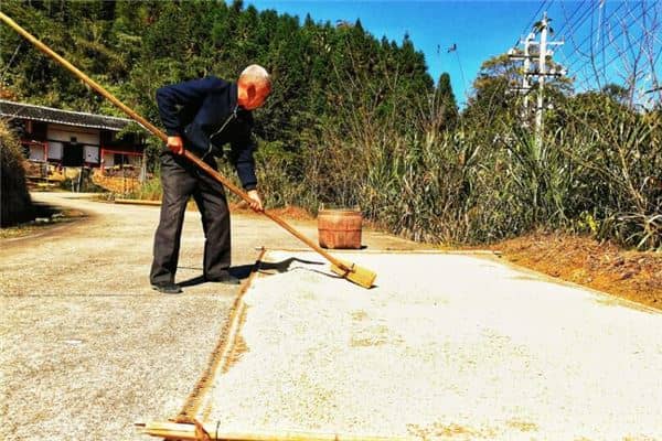 梦见晒谷子是什么意思