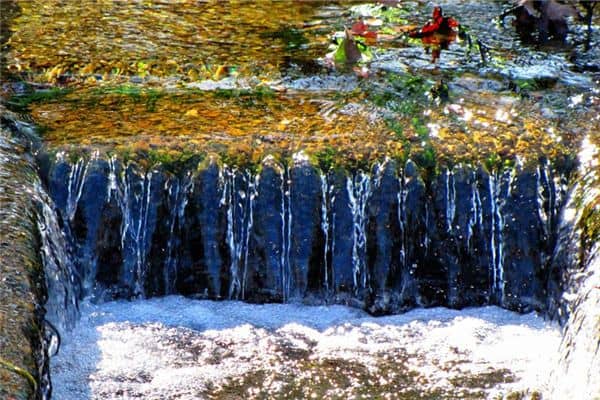 梦见修水渠是什么意思