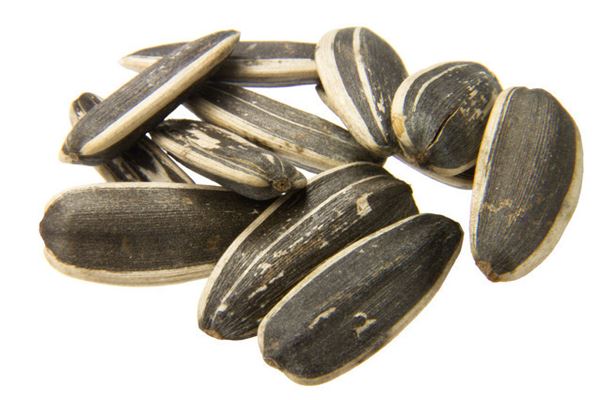 梦见吃瓜子是什么意思