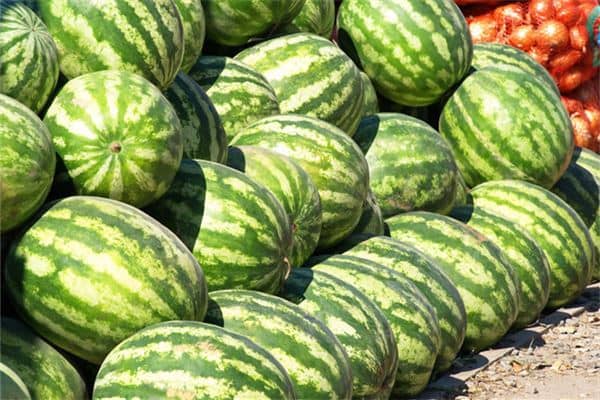 梦见西瓜地是什么意思