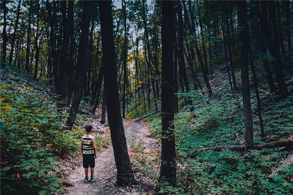 梦见找不到家是什么意思