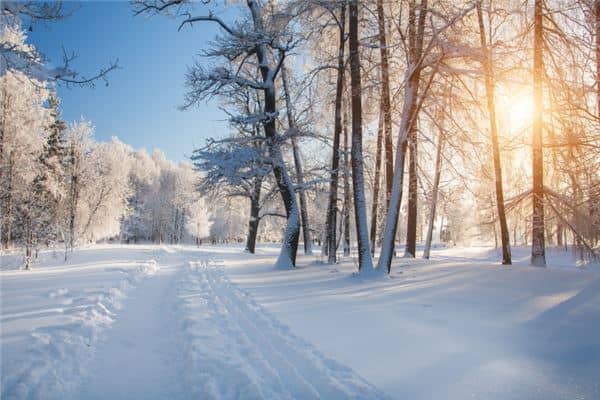 梦见地上都是雪是什么意思