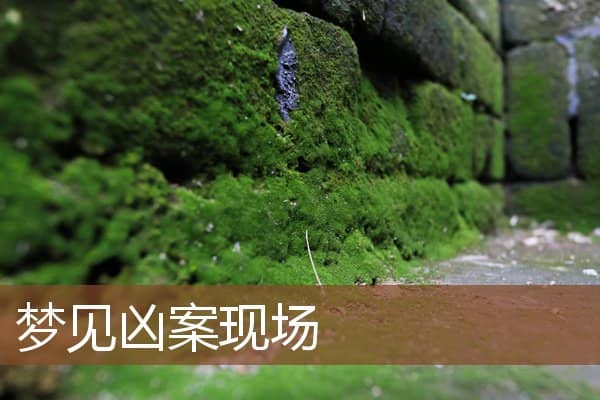 梦见凶案现场是什么意思