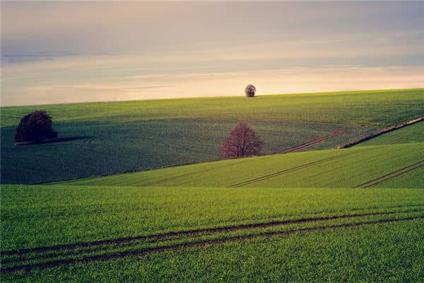 梦见土地是什么意思