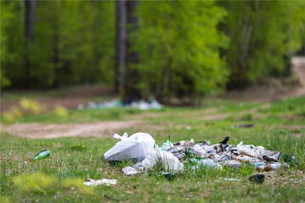 梦见扫地很多垃圾是什么意思