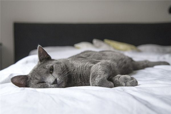 梦见漏雨到床上是什么意思