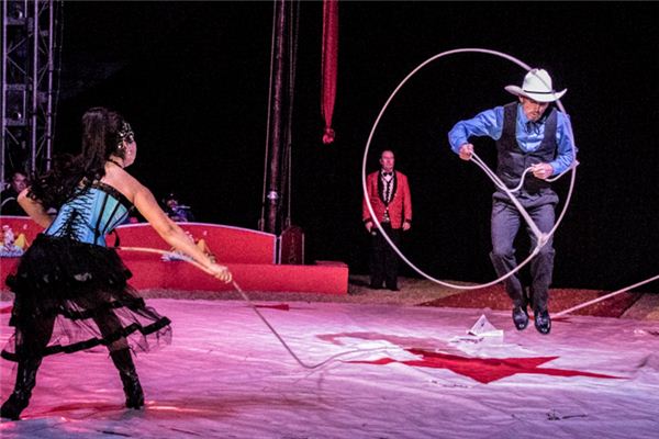 梦见看马戏是什么意思