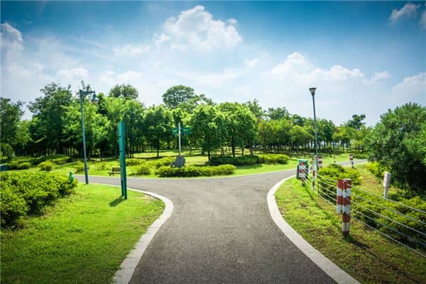 梦见走错路是什么意思