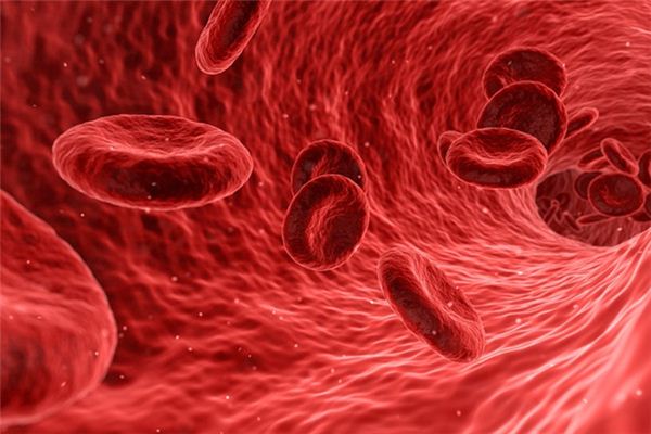 梦见流血出血是什么意思